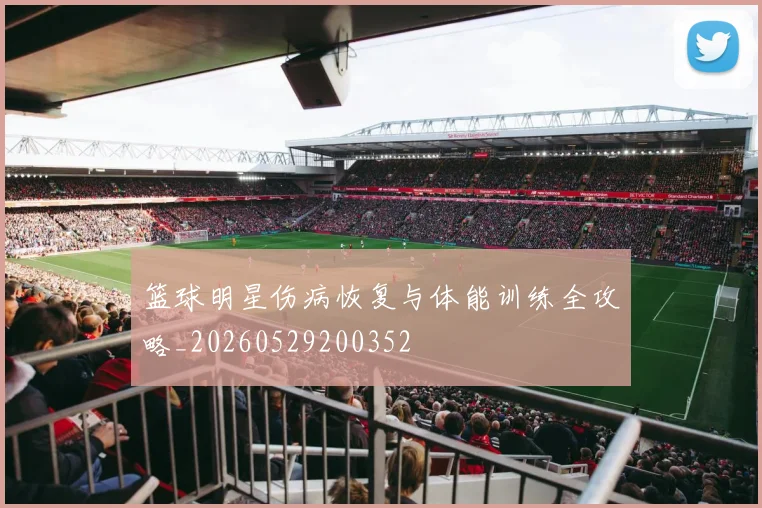 篮球明星伤病恢复与体能训练全攻略_20260529200352