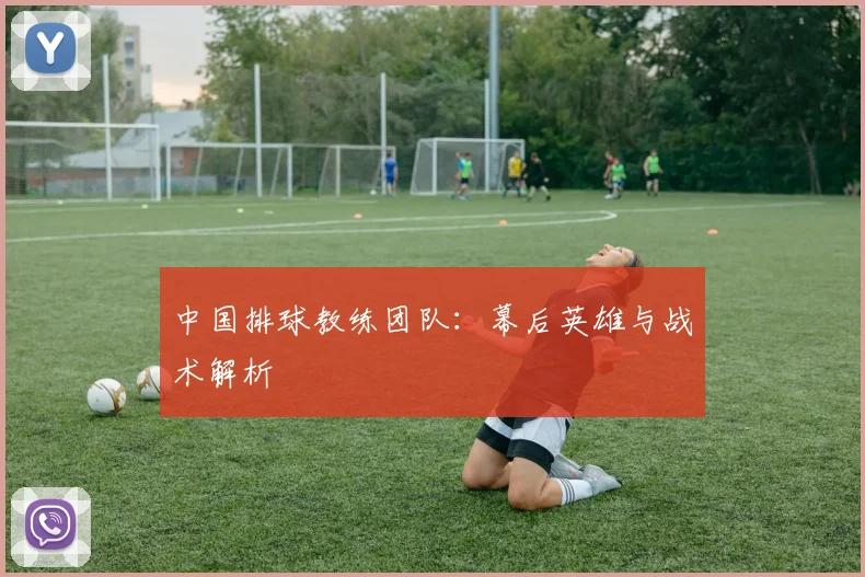 中国排球教练团队：幕后英雄与战术解析