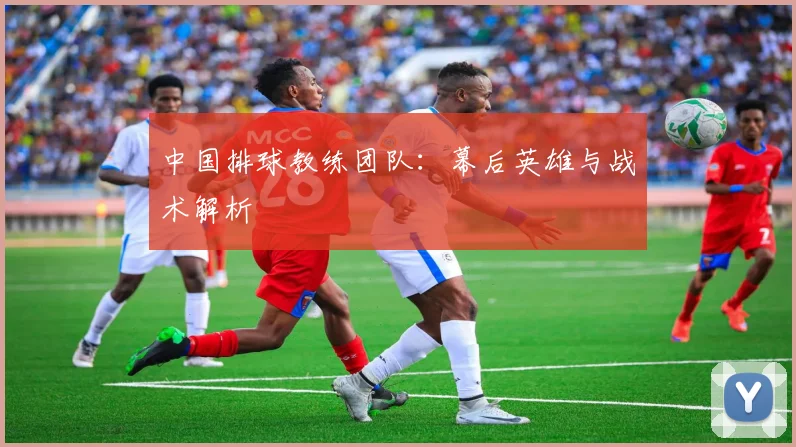 中国排球教练团队：幕后英雄与战术解析